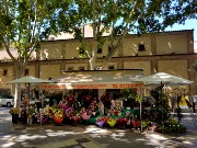 135  flower shop.jpg